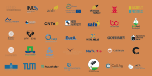 Our Partners in FEASTS Project